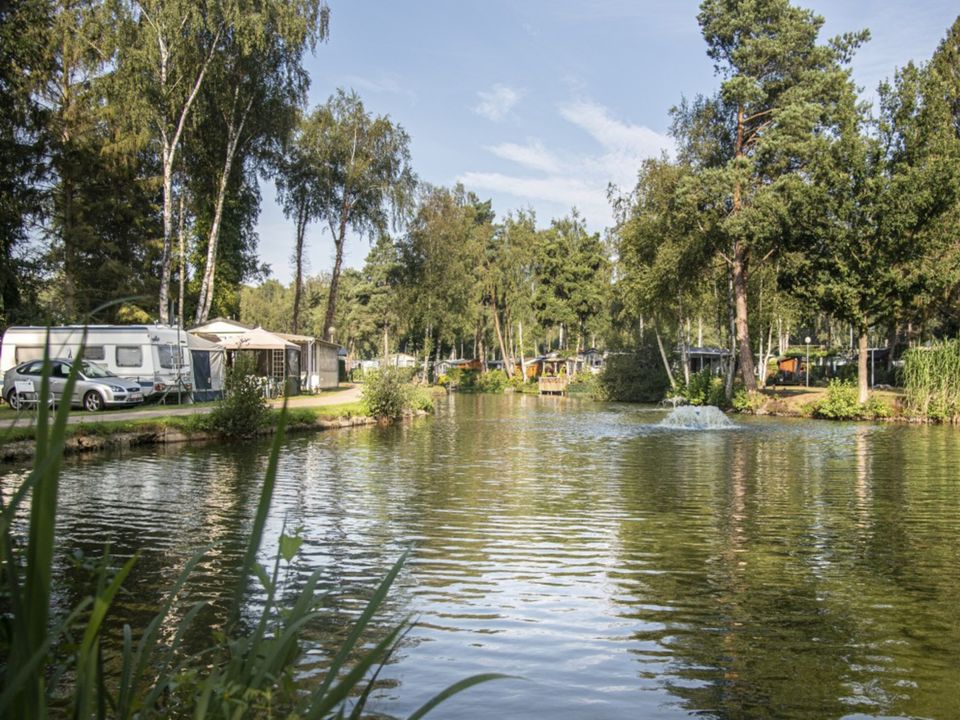 Camping Zavelbos - Camping Belgisch Limburg