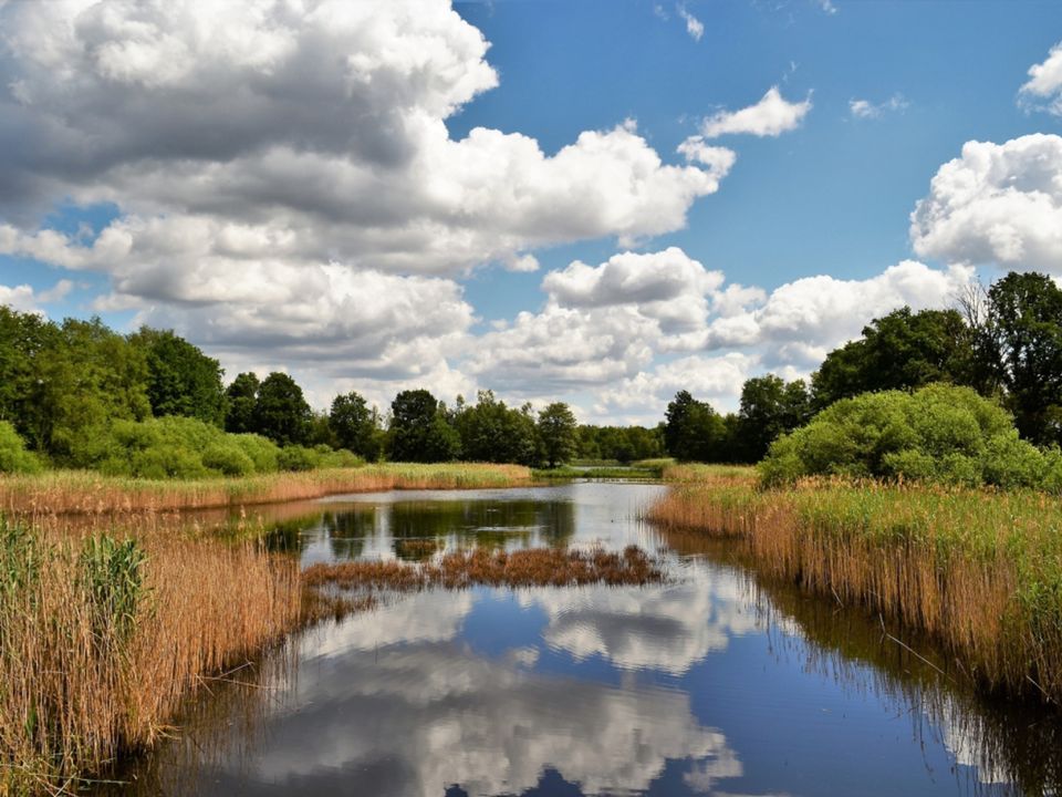 Camping de Binnenvaart - Camping Belgisch Limburg