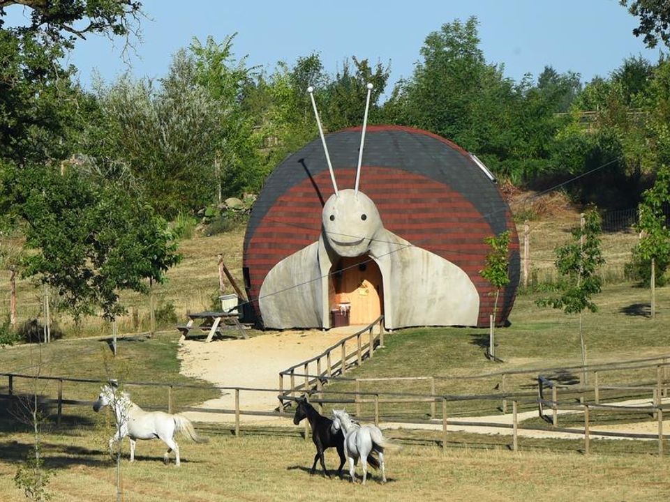 France - Poitou Loire - Dienné - Camping DéfiPlanet', 4*