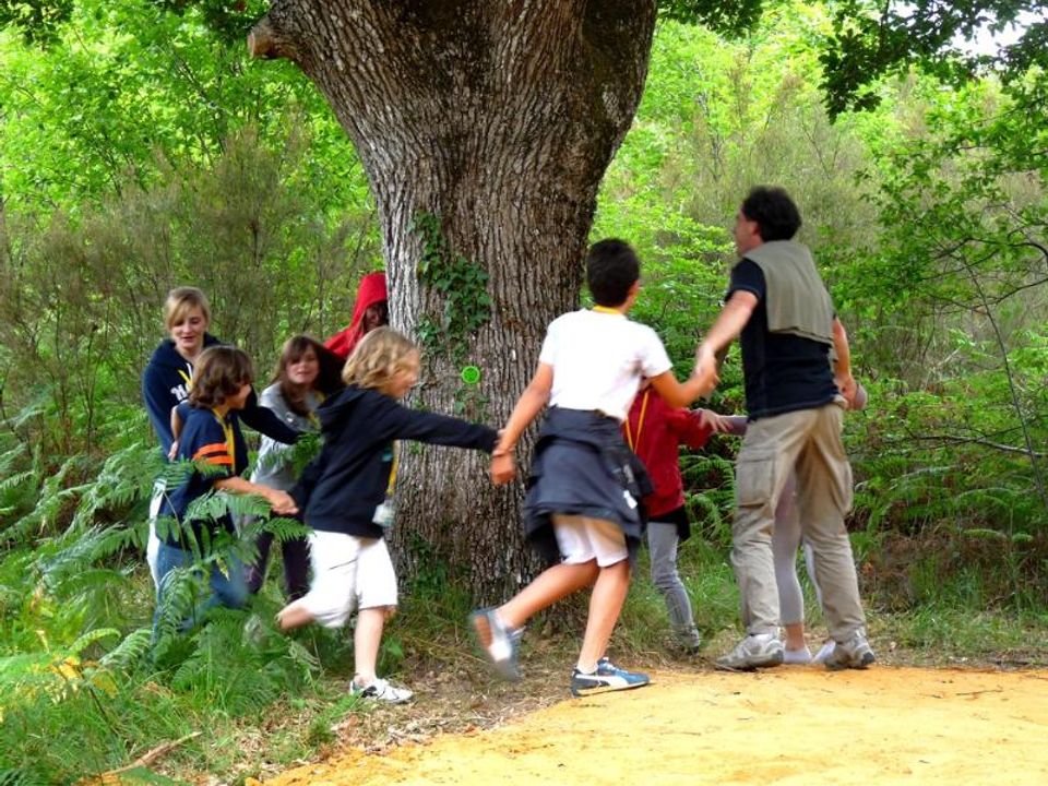 France - Poitou Loire - Dienné - Camping DéfiPlanet', 4*