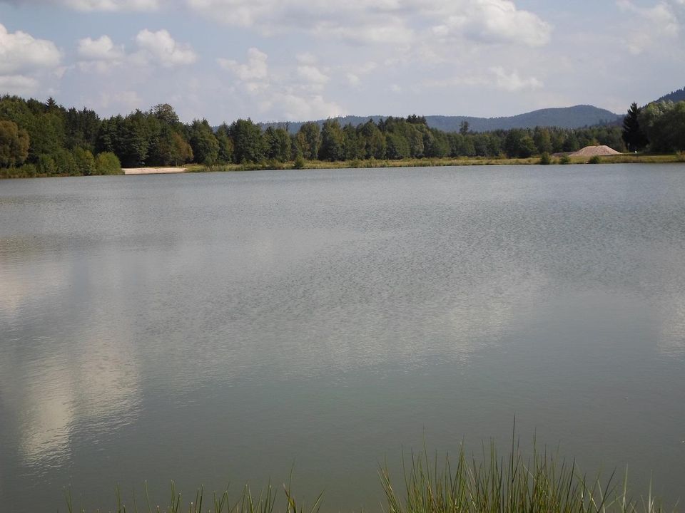 France - Vosges - La Chapelle devant Bruyères - Camping Les Pinasses 3*