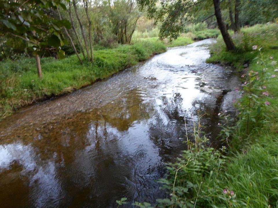 France - Vosges - La Chapelle devant Bruyères - Camping Les Pinasses 3*