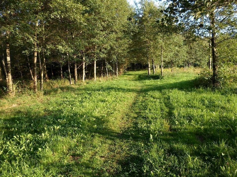 France - Vosges - La Chapelle devant Bruyères - Camping Les Pinasses 3*