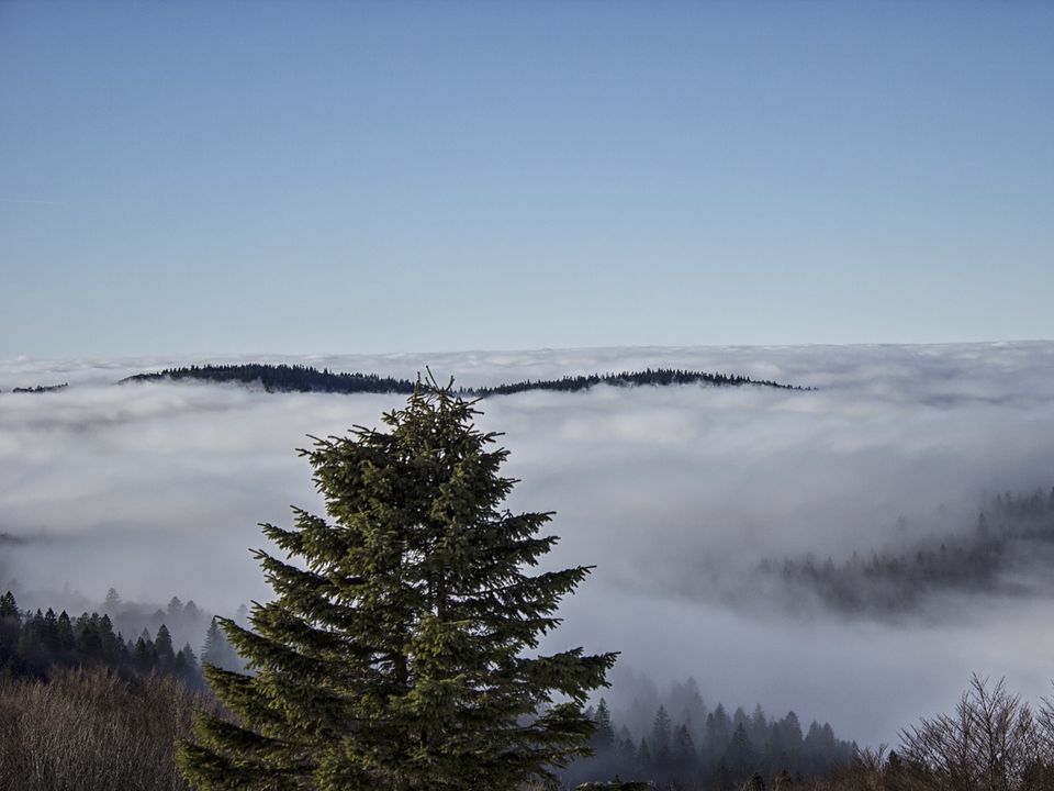 France - Vosges - La Chapelle devant Bruyères - Camping Les Pinasses 3*