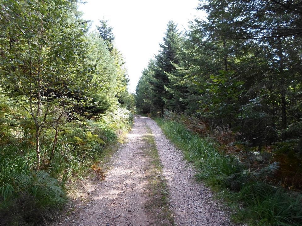 France - Vosges - La Chapelle devant Bruyères - Camping Les Pinasses 3*