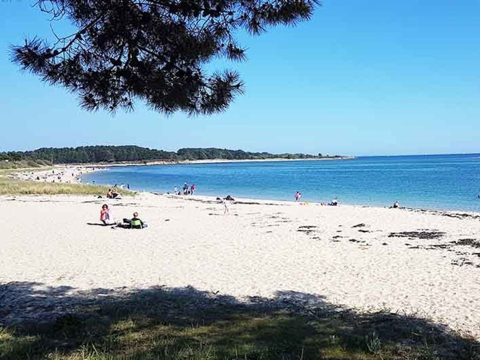 France - Bretagne - La Trinité sur Mer - Camping Plijadur 4*