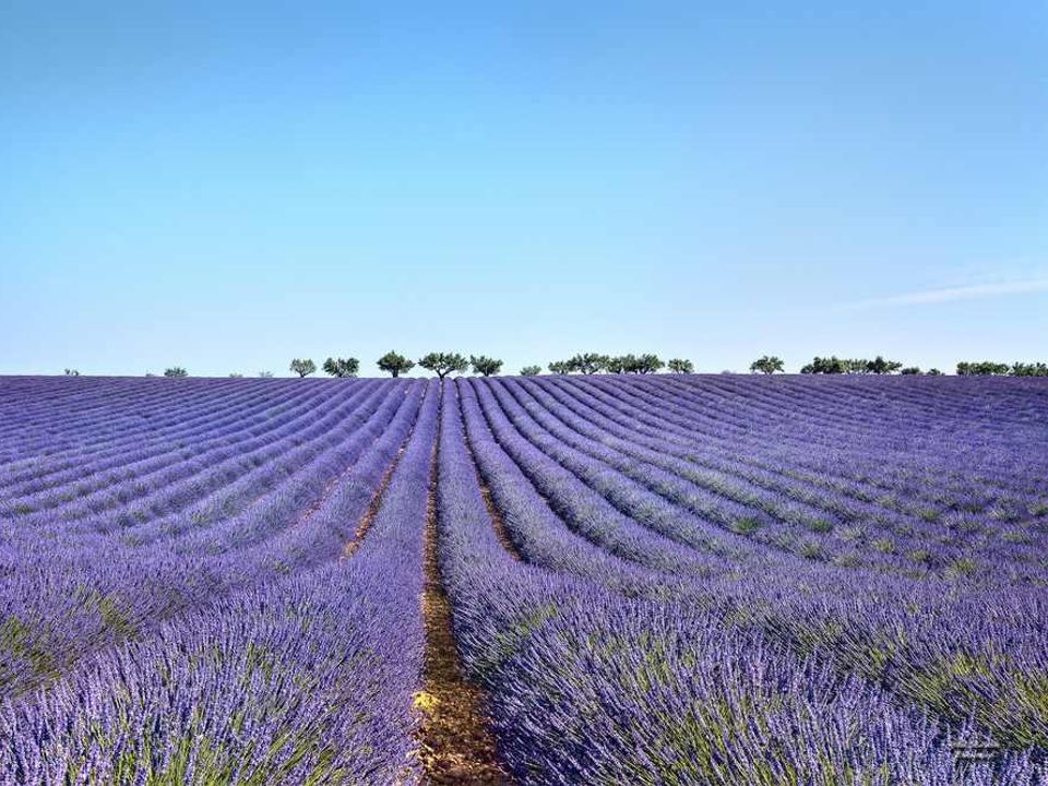 France - Sud Est et Provence - Manosque - Camping Flower Provence Vallée, 3*