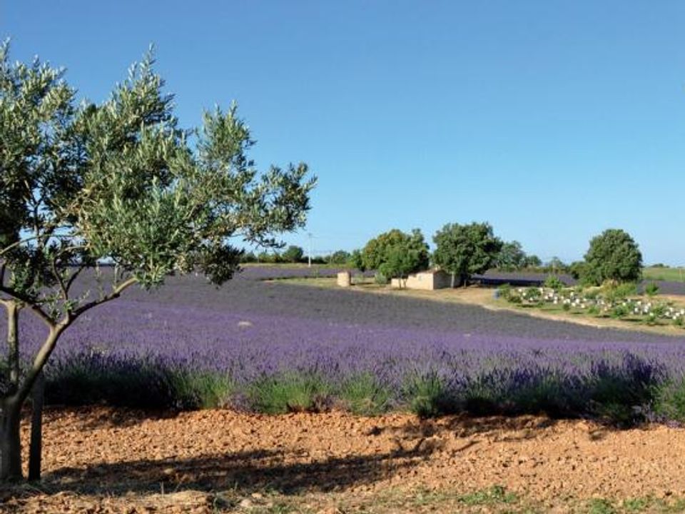 France - Sud Est et Provence - Manosque - Camping Flower Provence Vallée, 3*