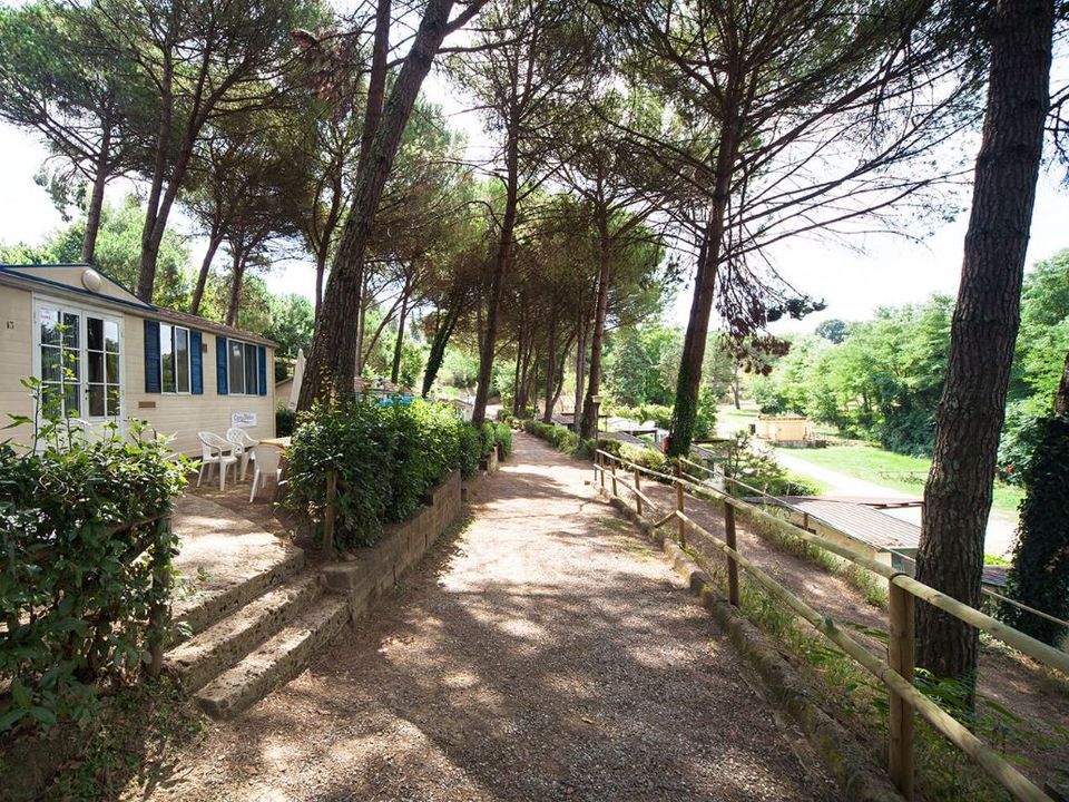 Italie - Toscane - Montopoli in Val d'Arno - Camping Toscana Holiday Village, 3*