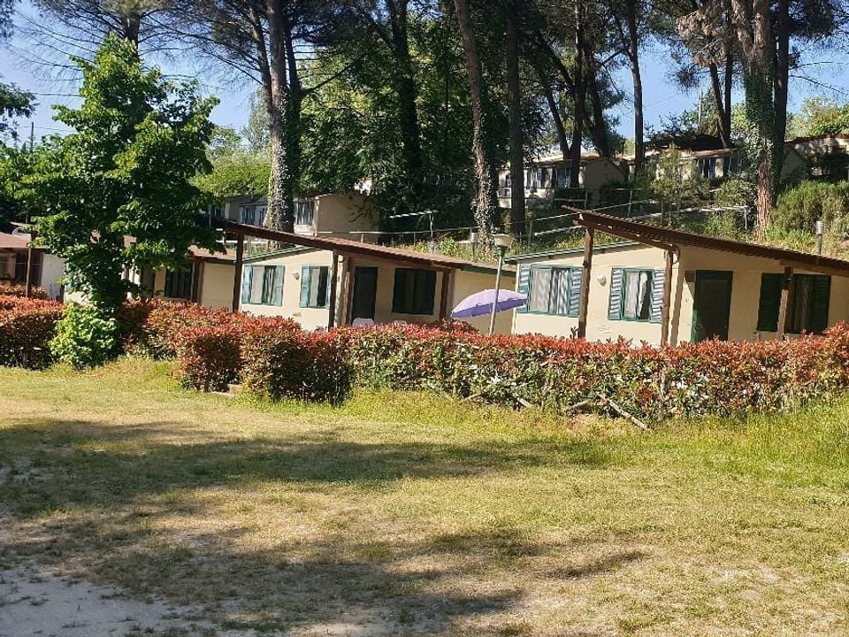 Italie - Toscane - Montopoli in Val d'Arno - Camping Toscana Holiday Village, 3*