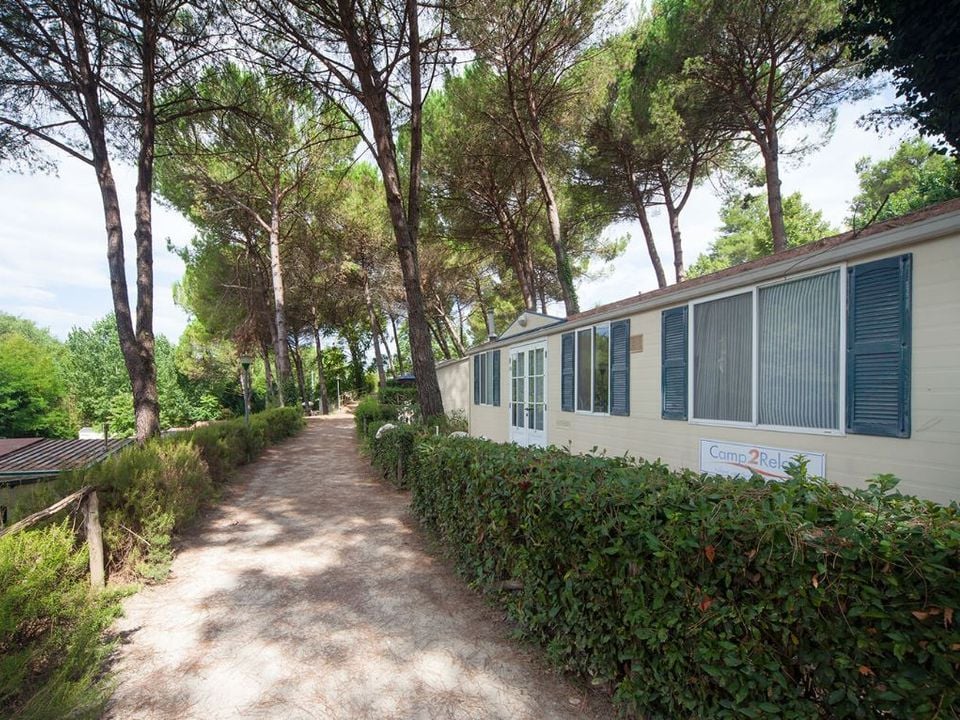 Italie - Toscane - Montopoli in Val d'Arno - Camping Toscana Holiday Village, 3*