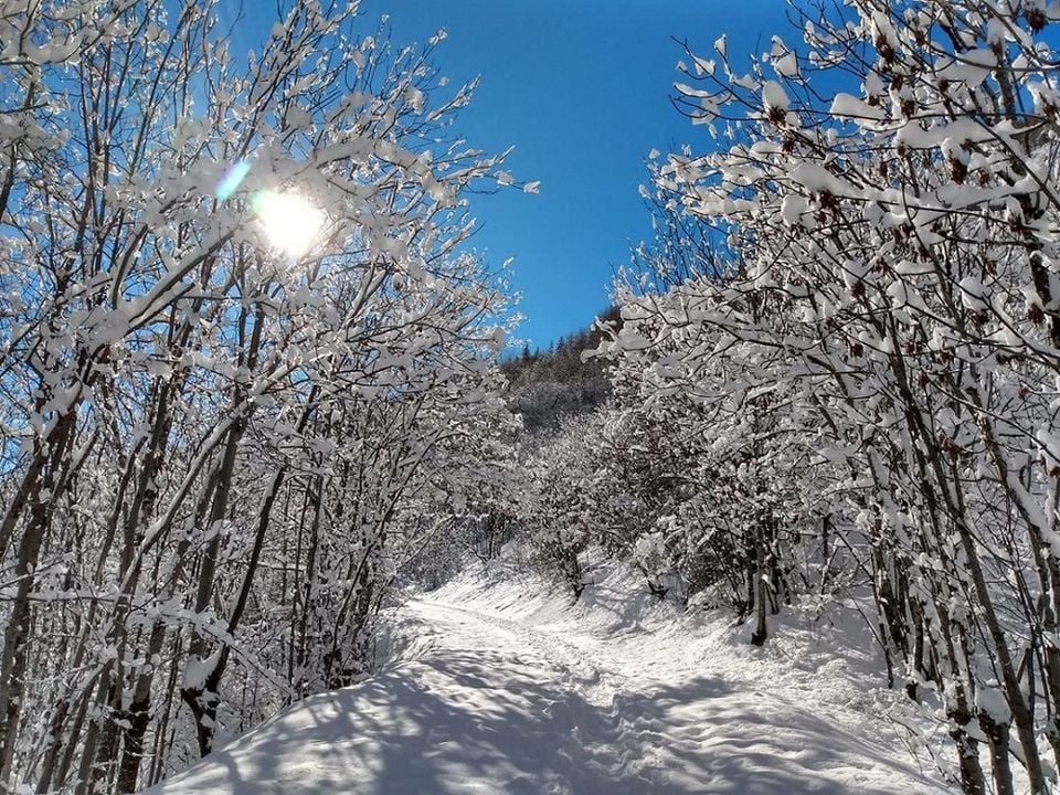 France - Alpes et Savoie - Saint Martin de Queyrières - Camping l'Iscle de Prelles 3*