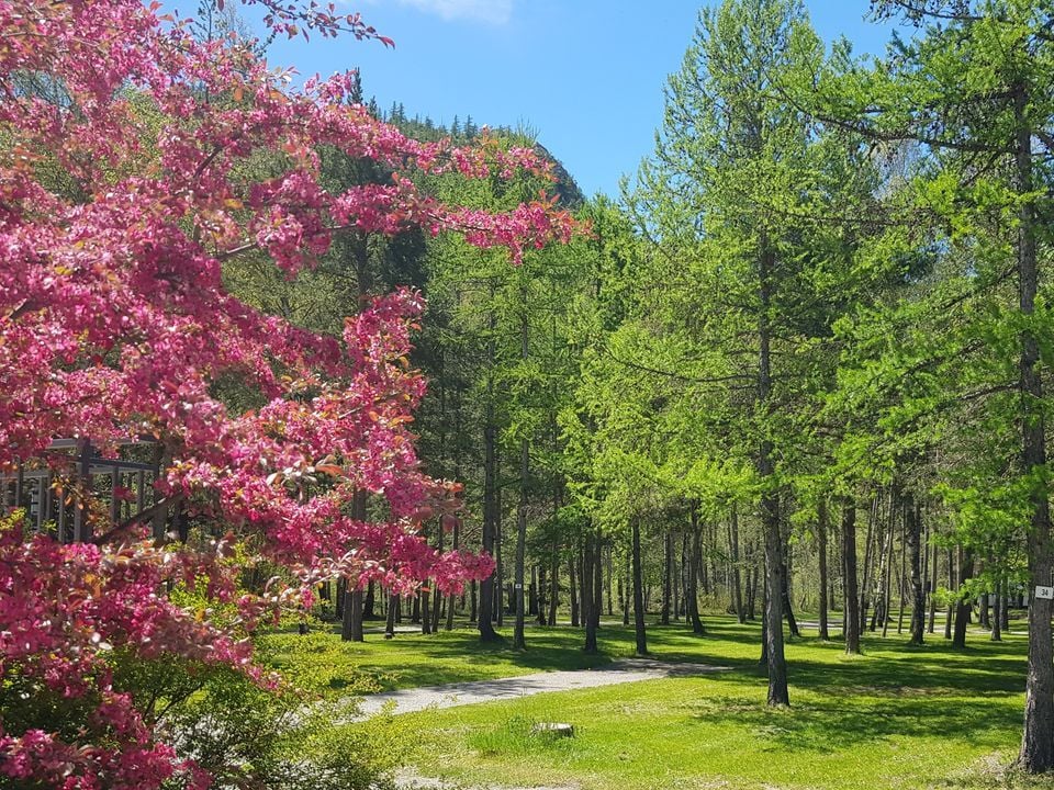 France - Alpes et Savoie - Saint Martin de Queyrières - Camping l'Iscle de Prelles 3*