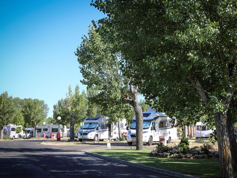 Espagne - Castille et Léon - Santa Marta de Tormes - Camping Regio