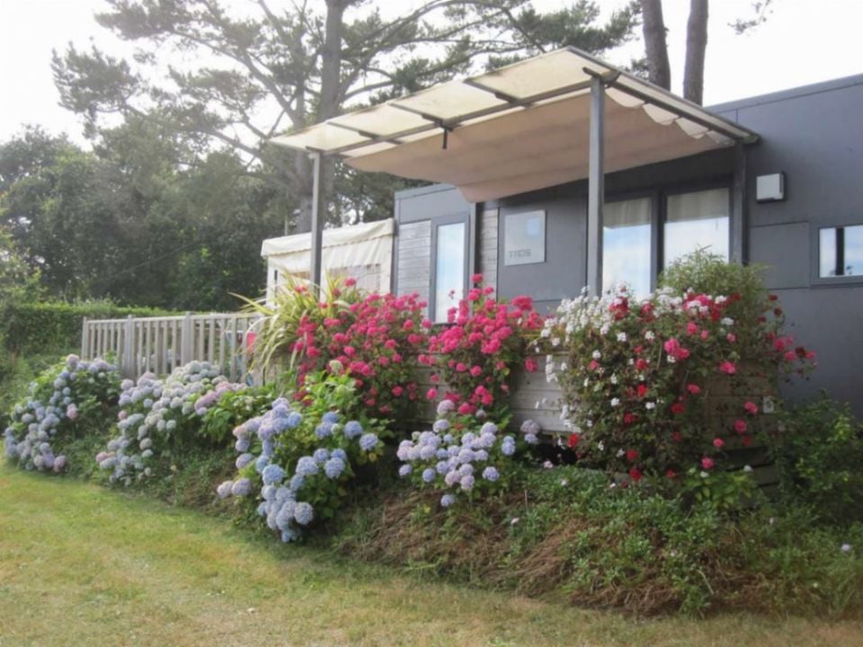 France - Bretagne - Trédrez Locquémeau - Camping Paradis Les Capucines, 4*