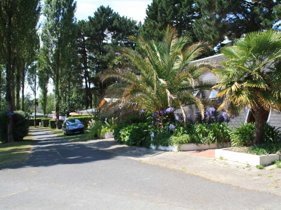 France - Bretagne - Trédrez Locquémeau - Camping Paradis Les Capucines, 4*