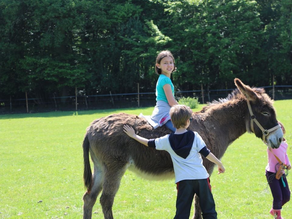 France - Centre - Seillac - Camping Ferme Pédagogique de Prunay, 4*