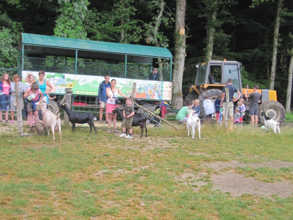 France - Centre - Seillac - Camping Ferme Pédagogique de Prunay, 4*