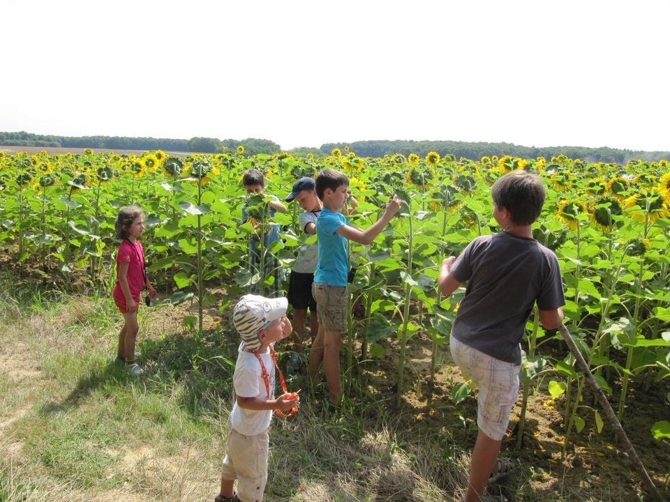 France - Centre - Seillac - Camping Ferme Pédagogique de Prunay, 4*