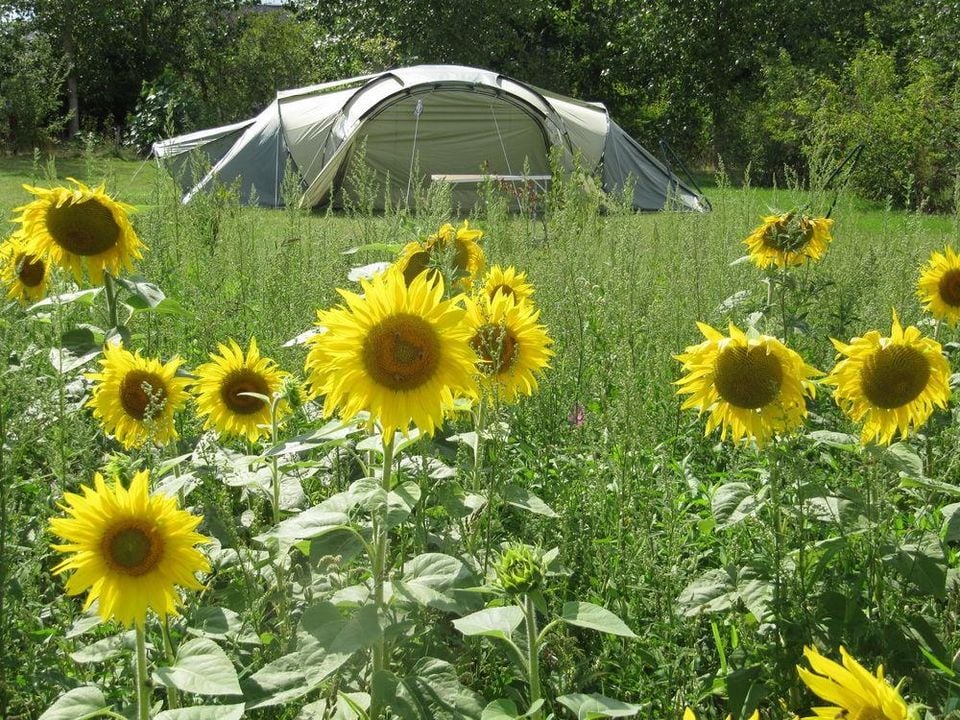 France - Centre - Seillac - Camping Ferme Pédagogique de Prunay, 4*