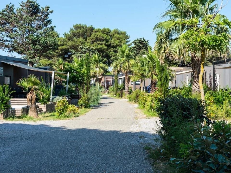 France - Méditerranée Ouest - Vendres Plage - Camping Les Muriers 4*