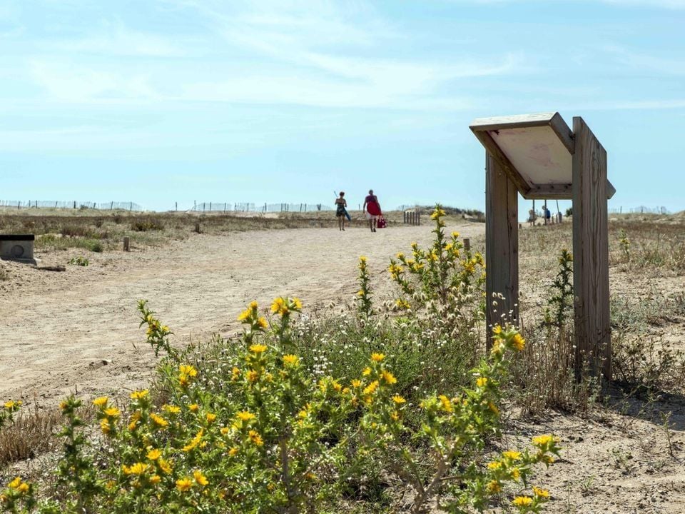 France - Méditerranée Ouest - Vendres Plage - Camping Les Muriers 4*