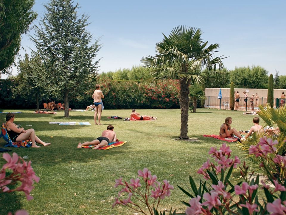 Camping Monplaisir à SAINT REMY DE PROVENCE, tarifs et réservations