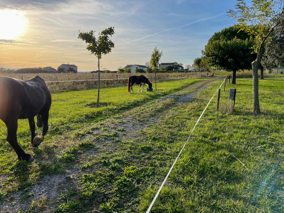 France - Rhône - Saint Germain - Camping Le Bardou