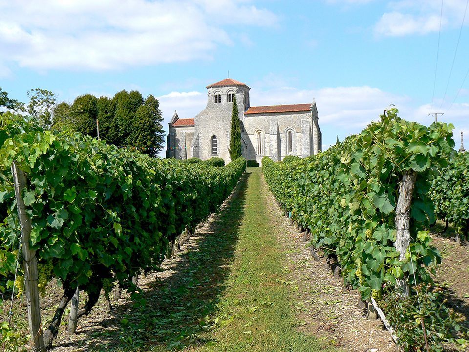 France - Poitou Loire - Jonzac - Résidence Les Coteaux de Jonzac, 4*