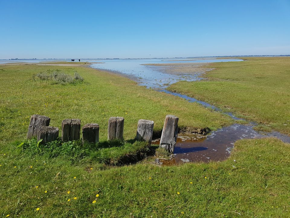 Summio Vakantiepark Zeedijk - Camping Goeree-Overflakkee