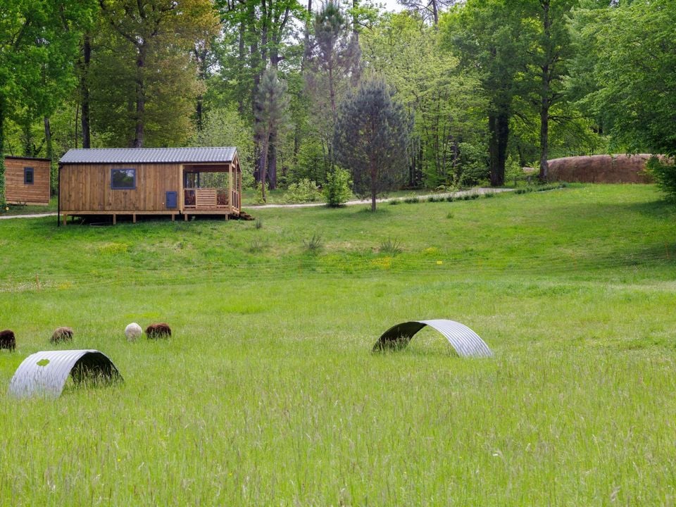 France - Sud Ouest - Lamothe Fénelon - Camping La Clairière - Ecolieu de Vacances 2*