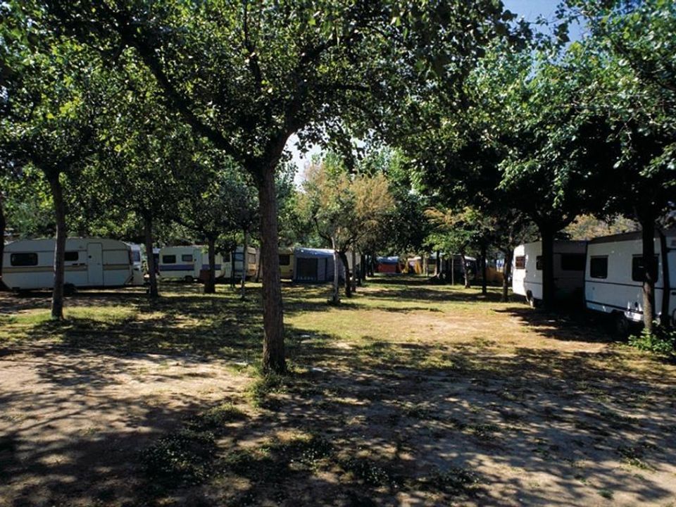 Italie - Abruzzes - Pineto - International Camping Torre Cerrano