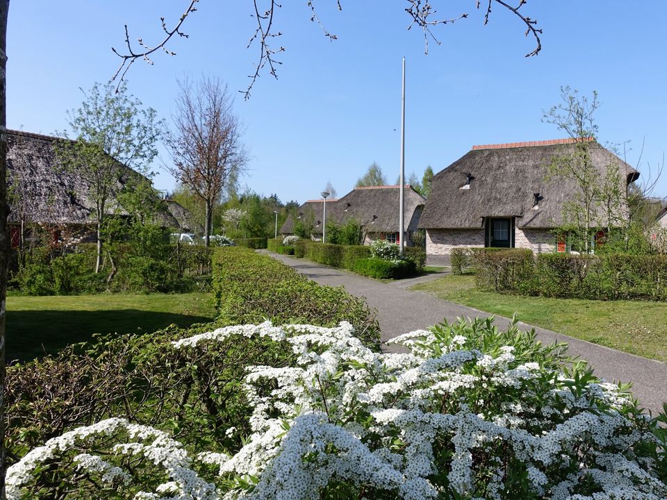 Vakantiepark De Lourenshoeve - Camping Twenterand