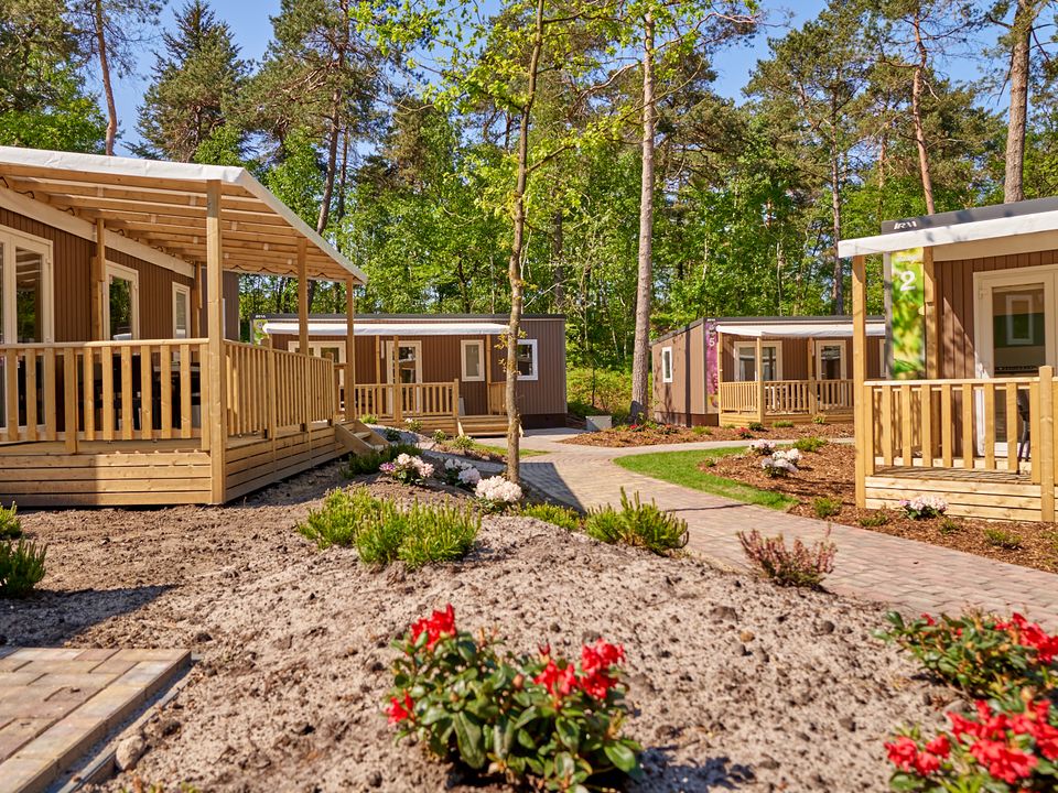 Vakantiepark Het Lierderholt - Camping Apeldoorn