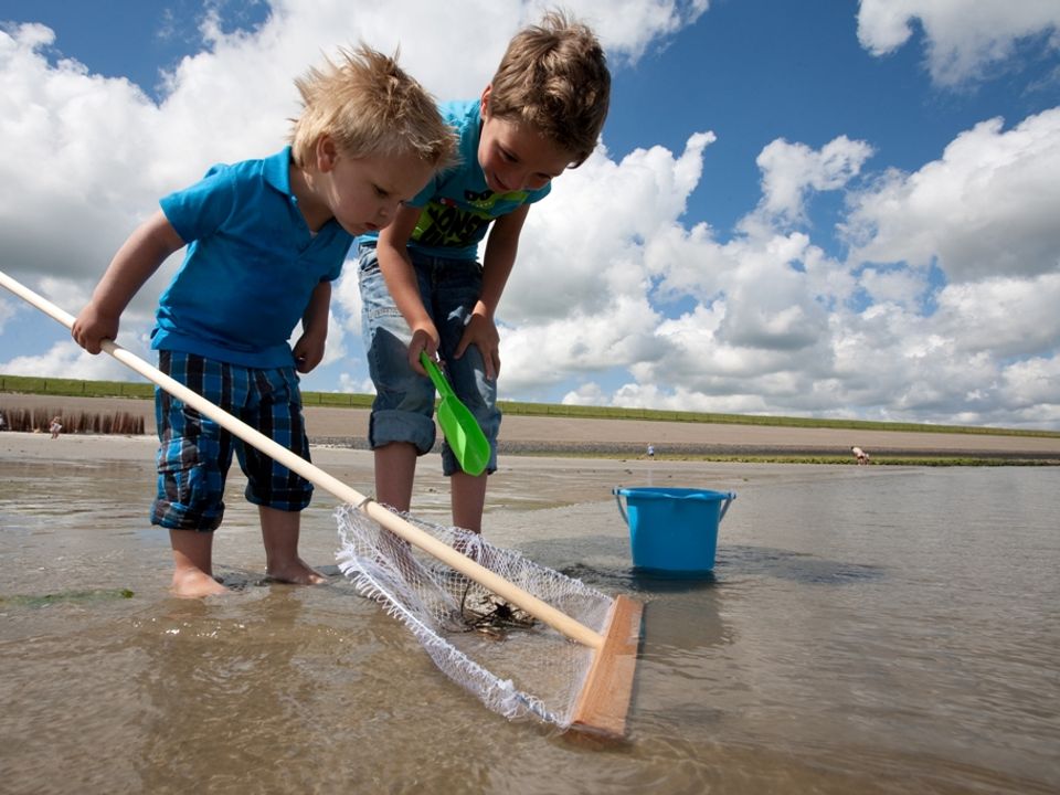 Bungalowpark 't Hoogelandt - Camping Texel