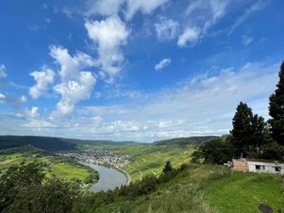 Landal Mont Royal - Camping Rhineland-Palatinate