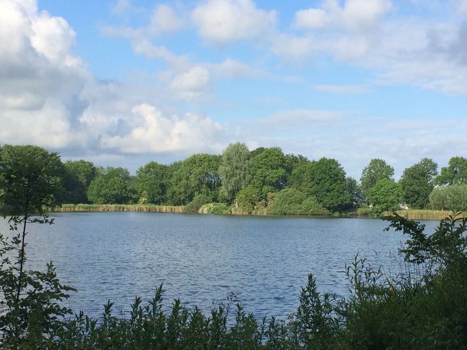 Holland Chalet Park Hensbroek - Camping Koggenland