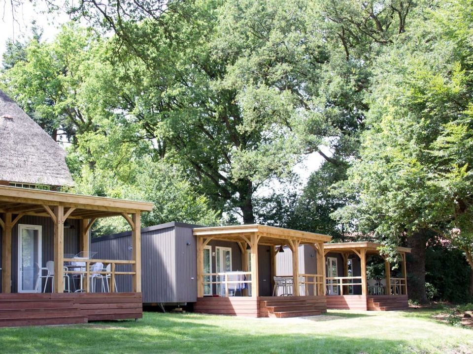 Molecaten Park De Agnietenberg - Camping Zwolle