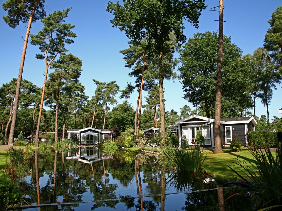 Bospark Markelo - Camping Hof Van Twente