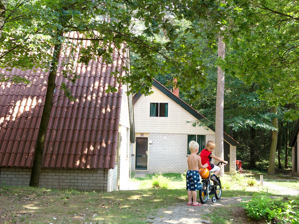 Oostappen park Boschbeek - Camping Roerdalen