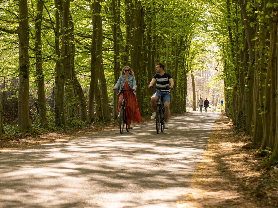 EuroParcs Hoge Kempen - Camping Belgisch Limburg