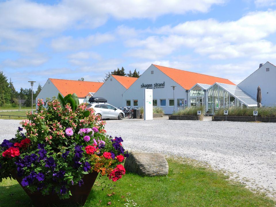 Skagen Strand - Camping Jutland du Nord