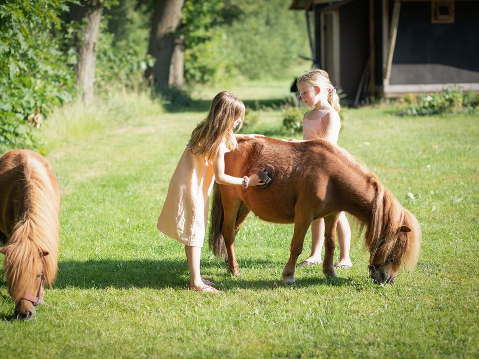 Landrijk de Reesprong - Camping Haaksbergen