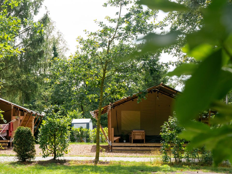 Vodatent Camping de Zeven Heuveltjes - Camping Borger-Odoorn