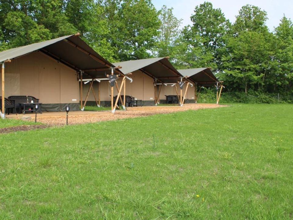 Vodatent Camping de Waterbuffelfarm  - Camping Steenwijkerland