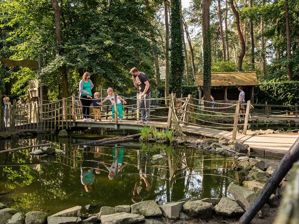 Familiepark Goolderheide - Camping Belgisch Limburg