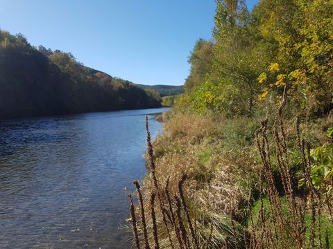 Camping Les Bords de Cèze - Camping Gard - Image N°21