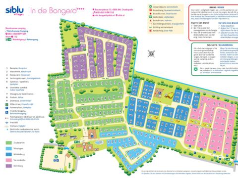 Siblu Camping In de Bongerd - Camping Veere - Image N°17