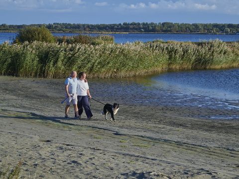 Siblu Camping Lauwersoog - Camping Het Hogeland - Image N°34