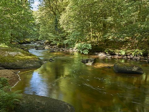 Camping Domaine du Scorff - Camping Morbihan - Image N°45